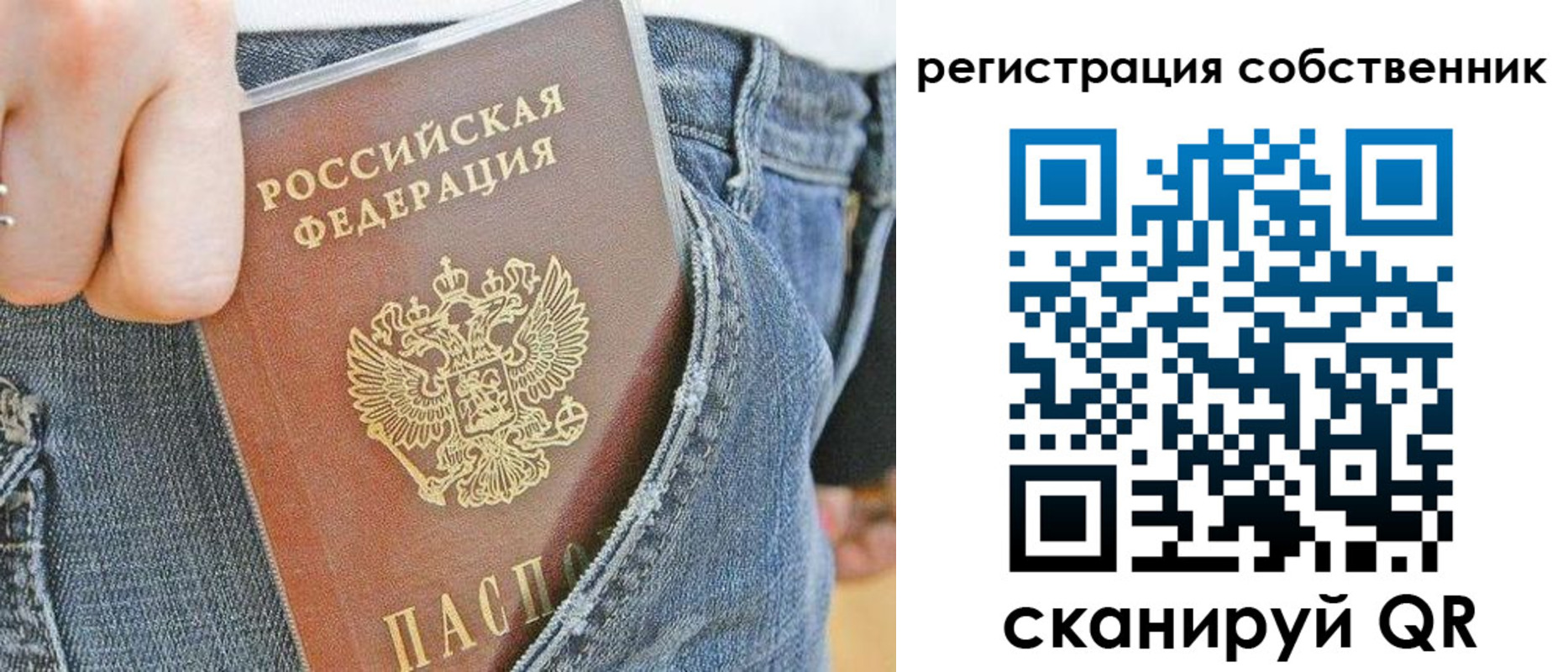 временная регистрация гарантия в Сафоново